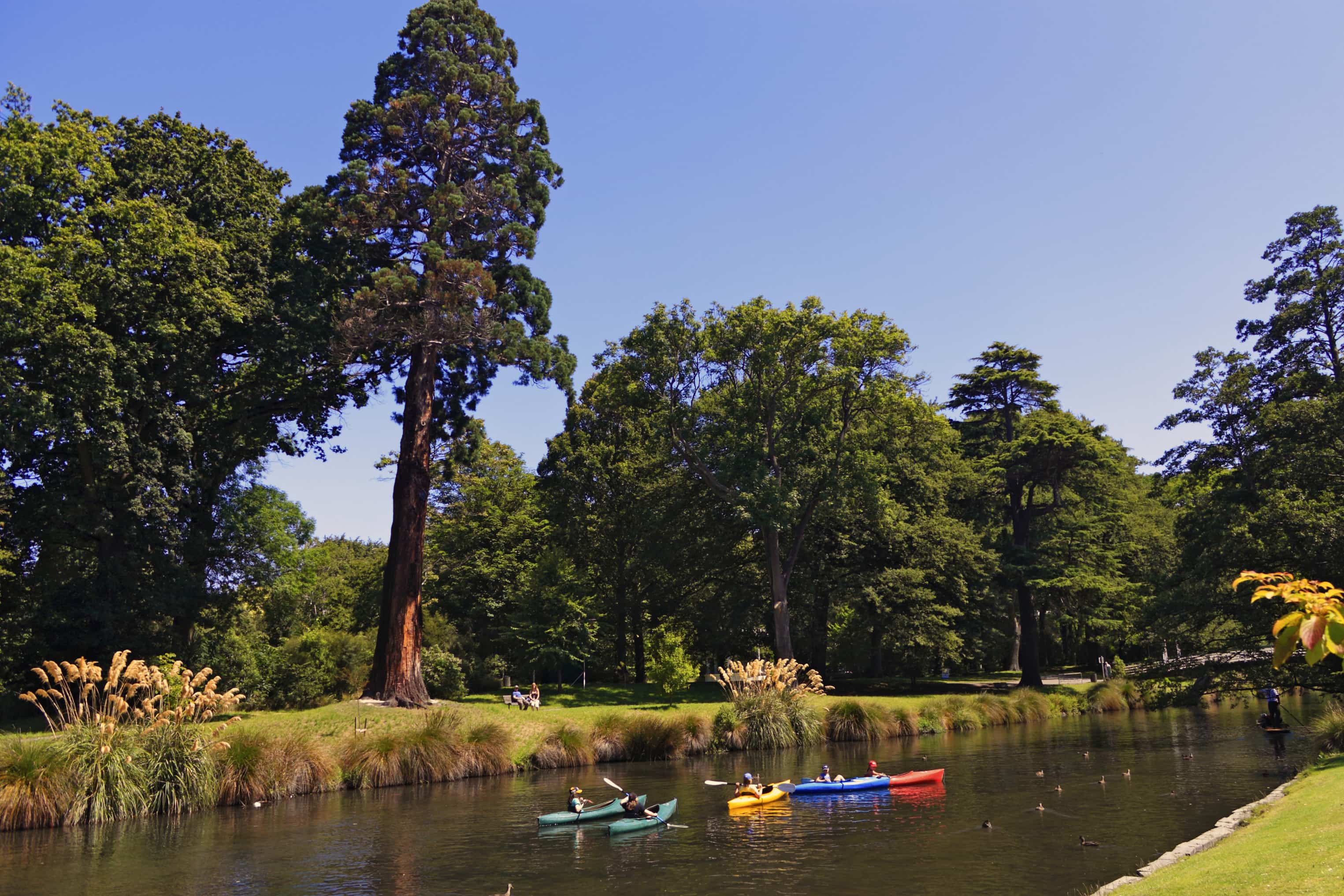 Christchurch Travel Guide | Christchurch Information